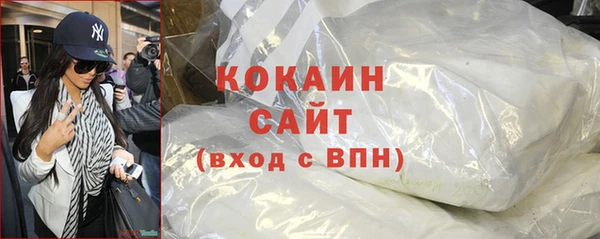 Альфа ПВП Няндома