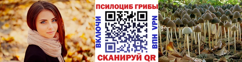 Псилоцибиновые грибы прущие грибы цены Михайлов